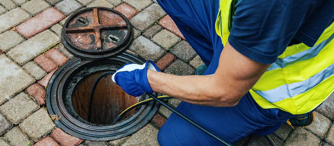 Common Causes of Blocked Drains and What To Do Next